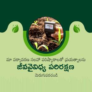 Hand holding a soil testing meter over soil with seedlings