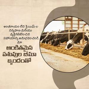 Cows in a barn with Telugu text overlay
