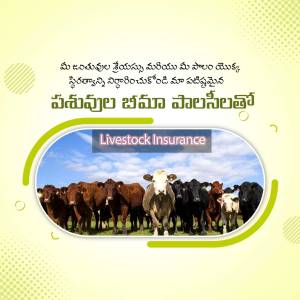 Image promoting livestock insurance with a herd of cattle.