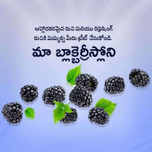 Fresh blackberries with green leaves on a light blue background with Telugu text.