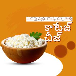 Bowl of fresh cottage cheese with herbs