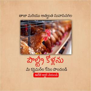 Chickens in a poultry farm with Telugu text