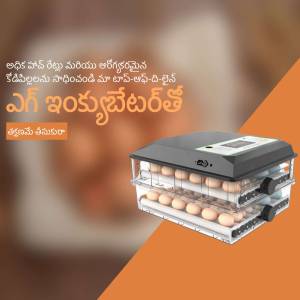 Image of an automatic egg incubator with eggs inside, promotional graphic with Telugu text.