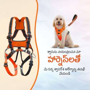 Orange and black dog harness with a poodle wearing it
