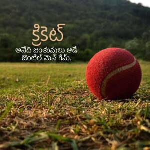 A red cricket ball resting on green grass with Telugu text overlay.