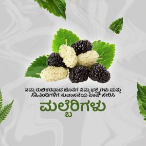 Close-up of ripe black mulberries with green leaves