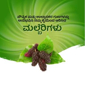 Image of ripe black mulberries with green leaves and a swirling green background with Kannada text.