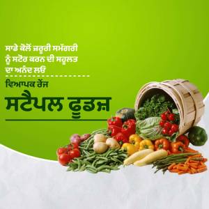 A basket overflowing with colorful fresh vegetables against a green background with text in Punjabi.