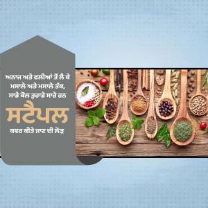 Assortment of Indian spices with Mahal branding