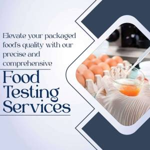 Image depicting food testing services with eggs and a lab technician.