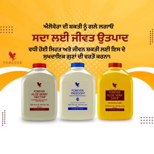 Three bottles of Forever Aloe Berry Nectar, Forever Freedom, and Forever Aloe Vera Juice on a yellow background.