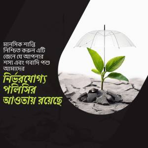 A plant growing through cracked earth under an umbrella, symbolizing protection and growth.