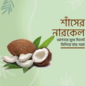 Image of a coconut with pieces and leaves, advertising Shayer Narikel.