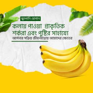 Image of fresh bananas with green leaves and Bengali text promoting natural products.