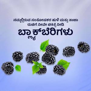 Fresh blackberries with green leaves on a blue background with Kannada text.