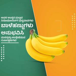 A bunch of ripe yellow bananas on a green and white background with Kannada text.