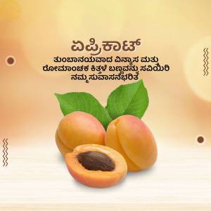 Image of apricots with text in Kannada
