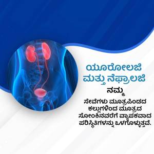 Illustration of human kidneys with text in Kannada about kidney health