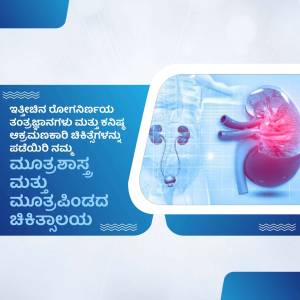 Illustration of human kidneys with highlighted areas, accompanied by text in Kannada.