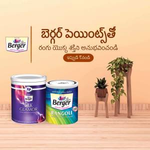 Berger Paints product advertisement featuring Rangoli and Silk Glamour paint cans with a plant.