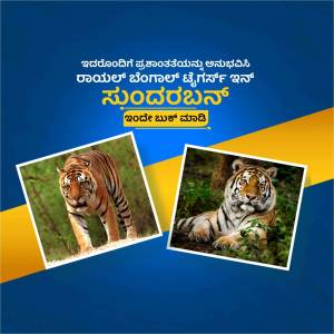 Image of tigers from Sundarbans National Park with Kannada text promoting conservation.