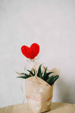 Red Heart Plant Artwork For LinkedIn