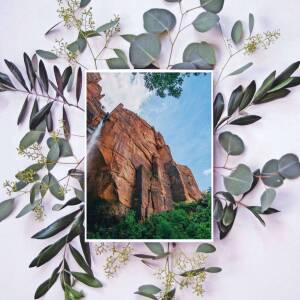 A framed photograph of the Garden of the Gods rock formations surrounded by eucalyptus leaves.