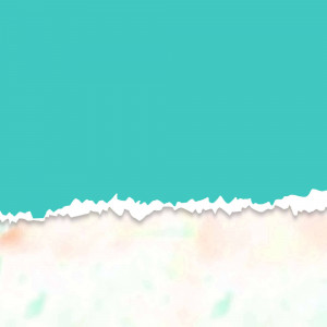 brands.live template