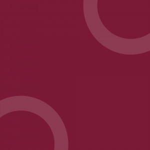 brands.live template