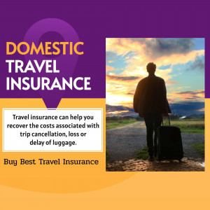 Image promoting domestic travel insurance with a silhouette of a traveler at sunset.