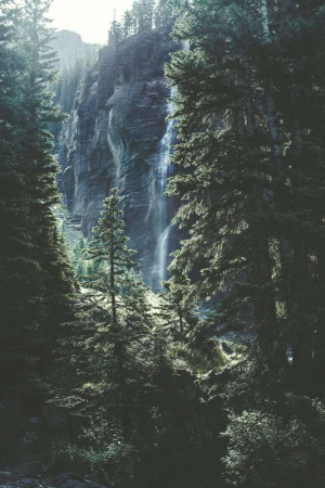 A tall waterfall cascading down a rocky cliff surrounded by lush green forest.
