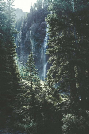 A tall waterfall cascading down a rocky cliff surrounded by dense evergreen forest.