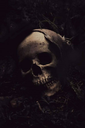 A human skull resting on the ground in a dark, shadowy environment.