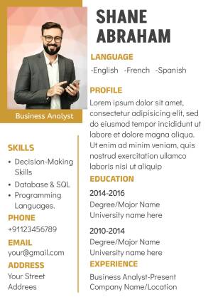 Professional profile of Shane Abraham, a Business Analyst with language and skill details.