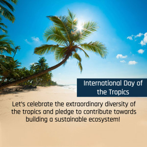 International Day Of The Tropics Marketing Image For Google Business Profile