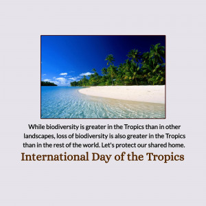 Tropical Beach Scene - International Day Of The Tropics Design For Twitter