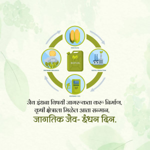 Infographic illustrating the biofuel production cycle from crops to energy.