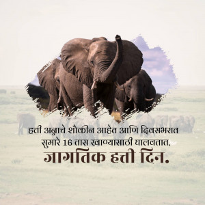 A group of elephants with text in Marathi celebrating World Elephant Day