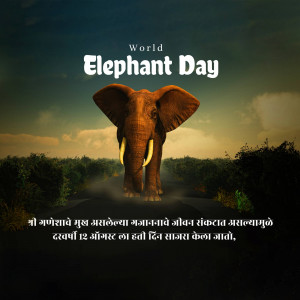 An elephant walking on a road with a forest background, celebrating World Elephant Day.