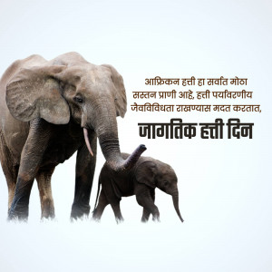 An African elephant stands protectively over its calf. Text in Marathi reads 'World Elephant Day'.