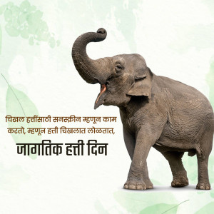 An elephant with its trunk raised, with text in Marathi celebrating World Elephant Day.