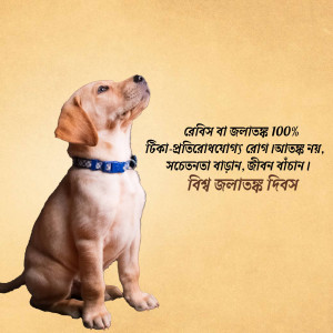 A cute puppy sitting and looking up with text about World Rabies Day in Bengali.