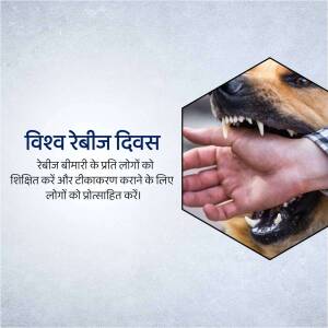 Image depicting rabies awareness with a dog and a hand, and text in Hindi.