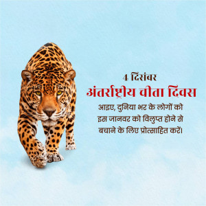 Image of a cheetah with text in Hindi celebrating International Cheetah Day