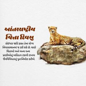 Cheetah resting on a rock with Gujarati text