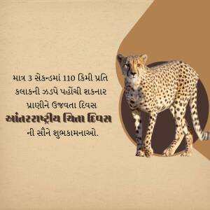 Cheetah with text celebrating International Cheetah Day