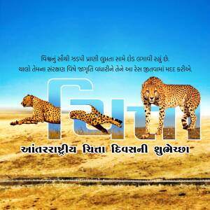 Image depicting cheetahs with text in Gujarati wishing 'International Cheetah Day'.