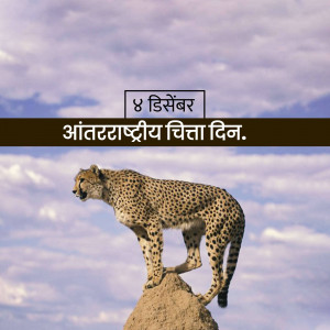 Cheetah on a rock with text in Hindi celebrating International Cheetah Day