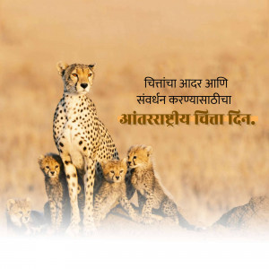 A cheetah stands protectively over her three cubs in a savanna landscape.