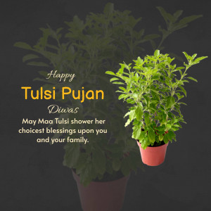 Happy Tulsi Pujan Template For Threads